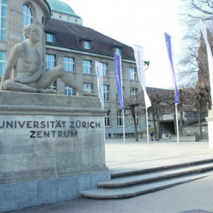 Universidade