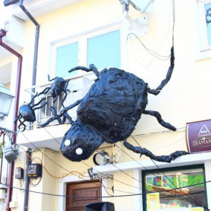 IMG 3553