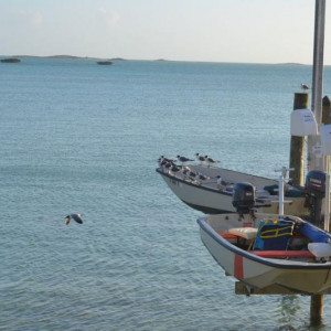 O barco
