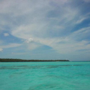 DSC 0044 1