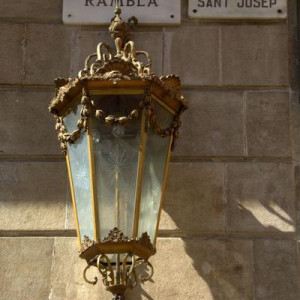 DSC 9016a