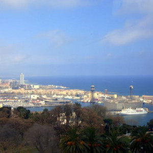 DSC 0026a