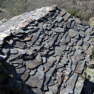 03140275.JPG