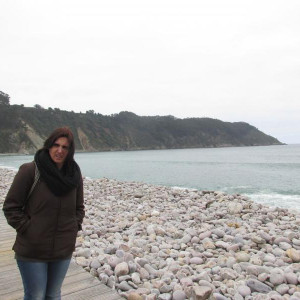 Praia concha de artedo