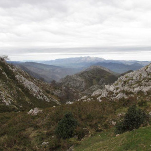Picos da Europa