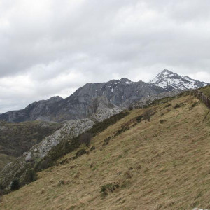Picos da Europa