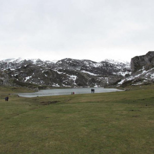 IMG 6967