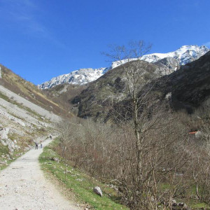 Bulnes