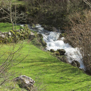 Bulnes