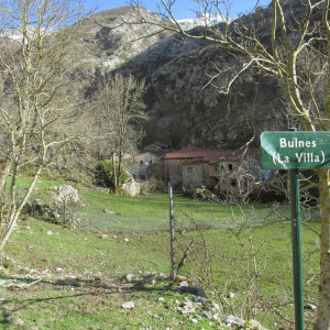Bulnes