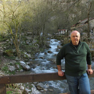Bulnes