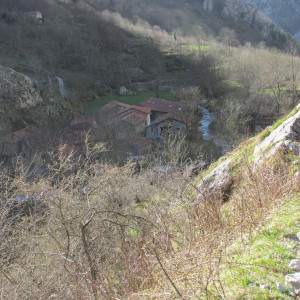 Bulnes