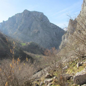 Bulnes