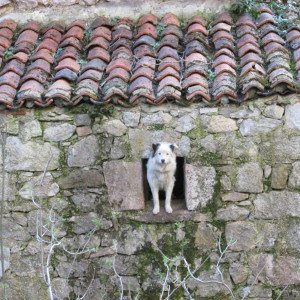 Bulnes