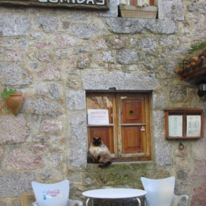 Bulnes