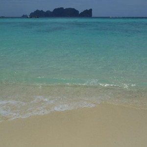 Phi Phi Long Beach