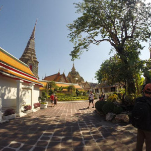 Wat Pho (BKK)