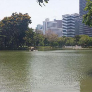 Lumphini Park (BKK)