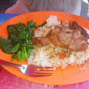Arroz Thai e frango braseado comida de rua Lumphini Park