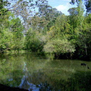 Tudo Verde