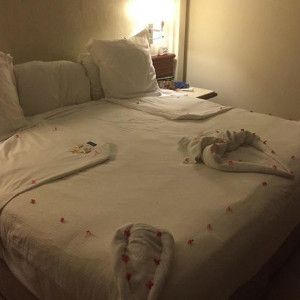 Cama 1