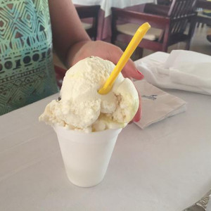 Gelados 1