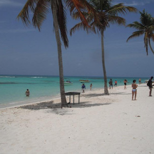 sAONA 1