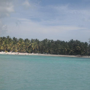 sAONA 2