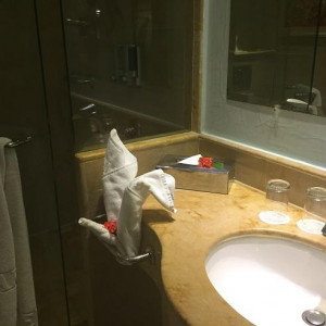 WC.jpg