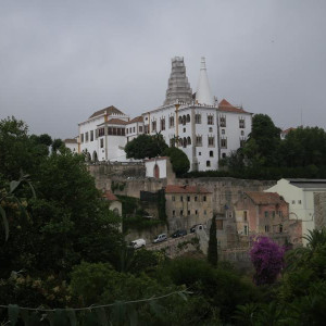 IMG 3970 (Copy)