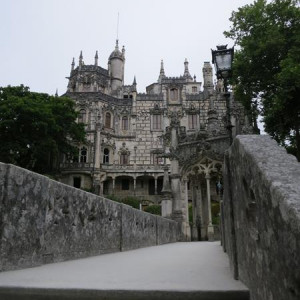 IMG 3981 (Copy)