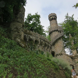 IMG 4011 (Copy)