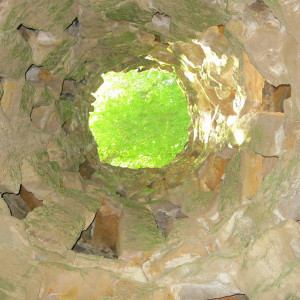 IMG 4081 (Copy)