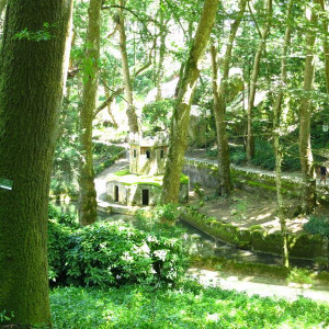 IMG 4523 (Copy)