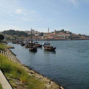 DSC04333