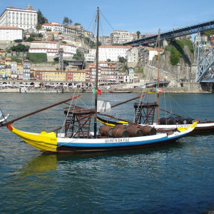 DSC04335