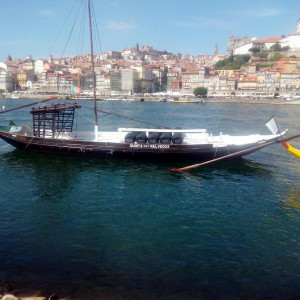 IMG 20141005 141223