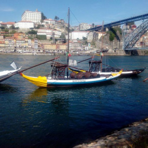 IMG 20141005 141226