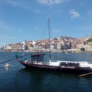 IMG 20141005 141245