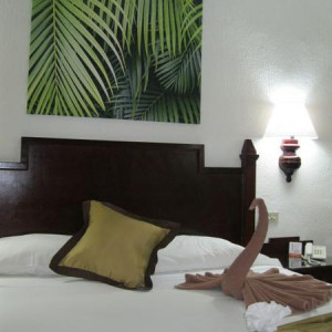 Hotel Mx