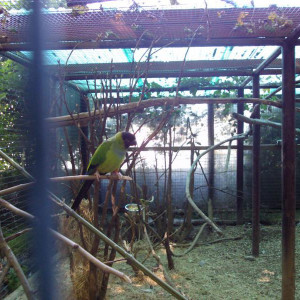 DSC01100