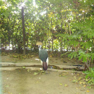 DSC01104