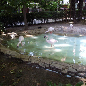 DSC01105