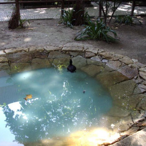 DSC01111