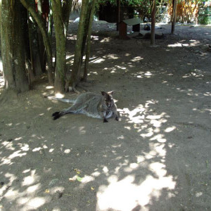 DSC01187.jpg