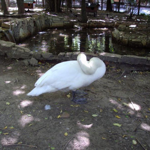 DSC01210.jpg