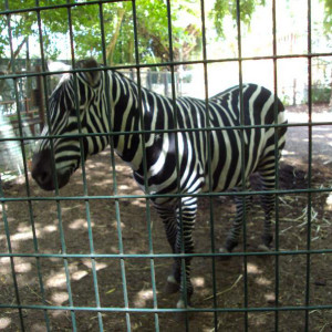 DSC01214.jpg