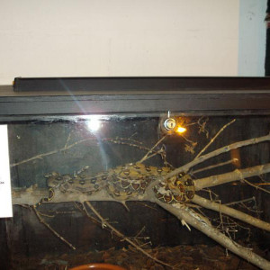 DSC01284.jpg