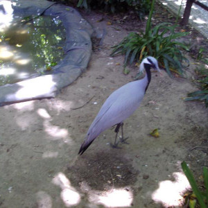 DSC01297.jpg