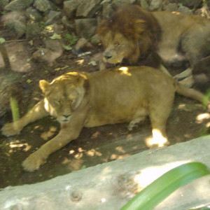 DSC01308.jpg
